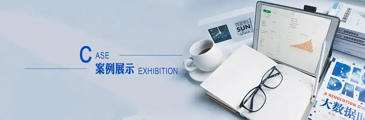 龙游县软件开发